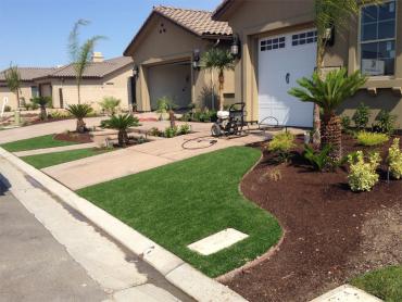 Artificial Grass Photos: Artificial Pet Grass Rancho Cucamonga California Landscape